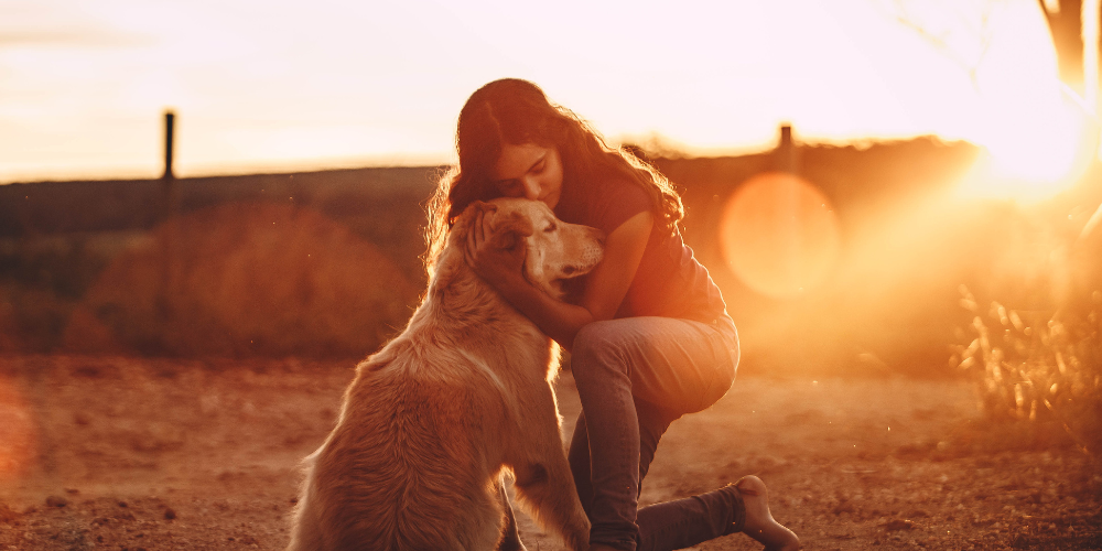 Trauer um den Hund: Wie man Abschied nehmen kann 🐾