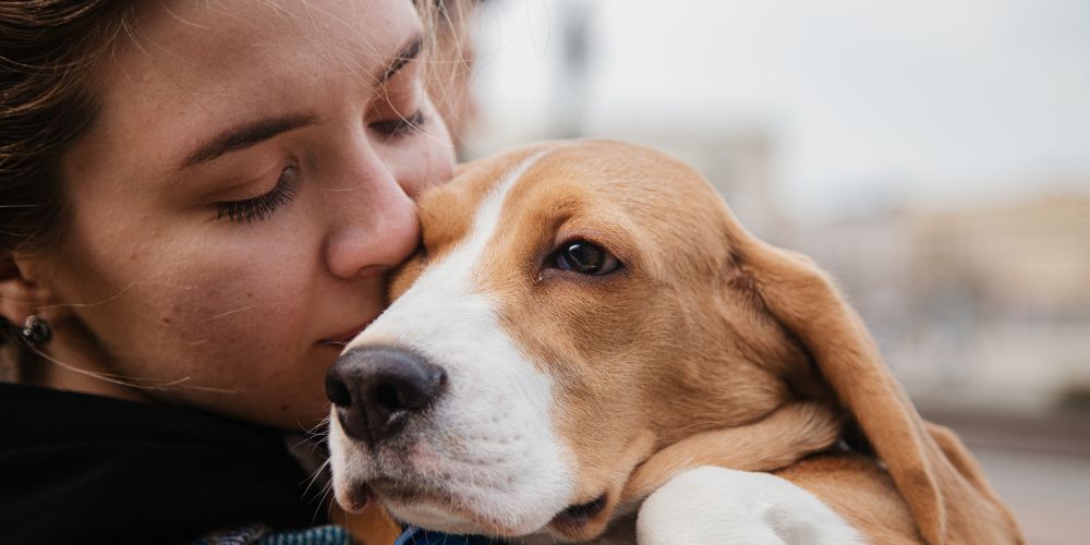 Bindung zwischen Mensch und Hund: Wie entsteht eine echte Partnerschaft?