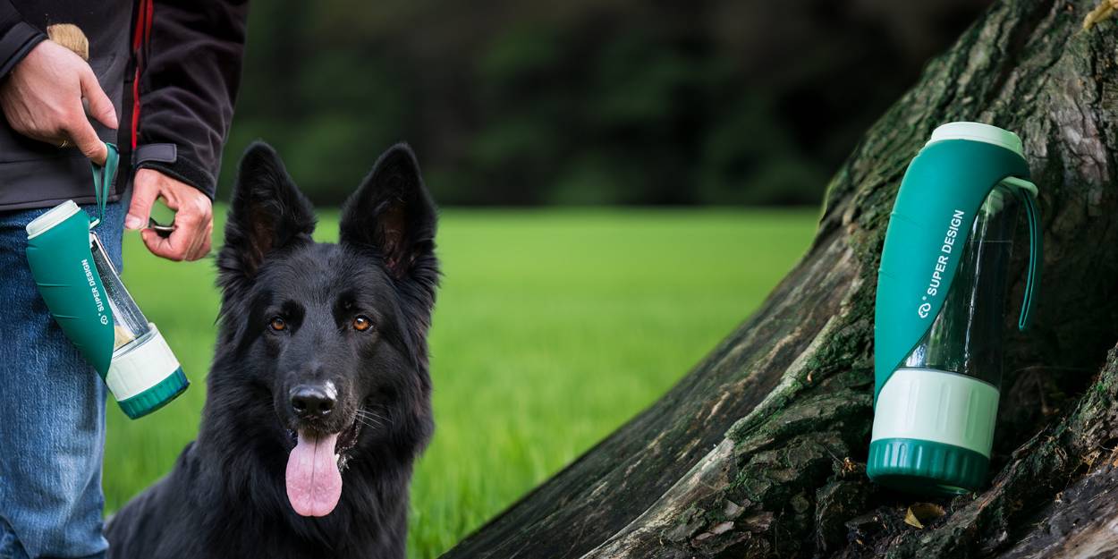 Warum ist die Trinkflasche für Hunde von Futternasera ihren Preis wert?