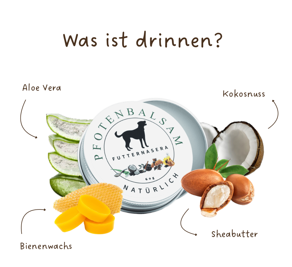 Pfotenbalsam für Hunde