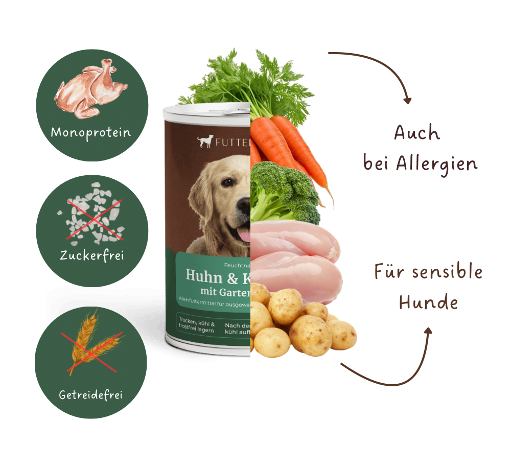 Nassfutter Huhn & Kartoffel - 400g