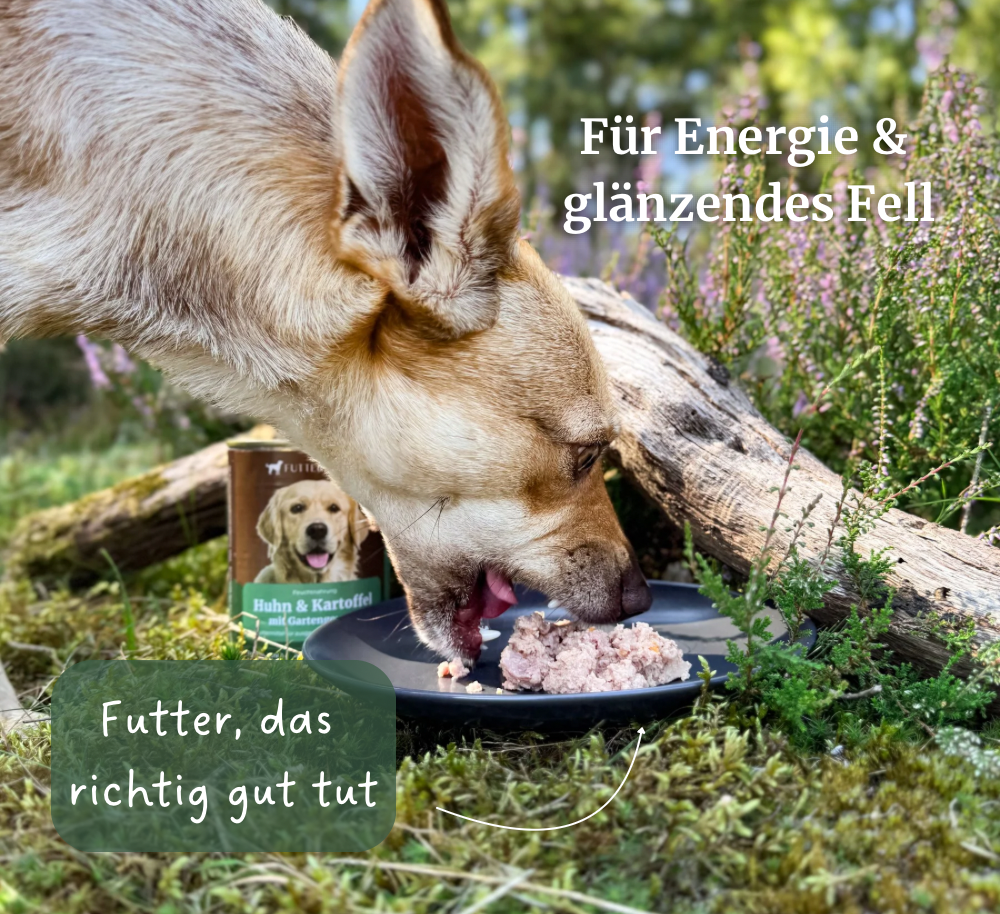 Nassfutter Huhn & Kartoffel - 400g