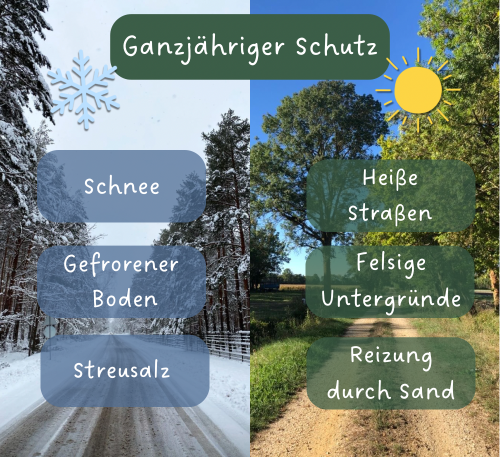 Pfotenbalsam für Hunde