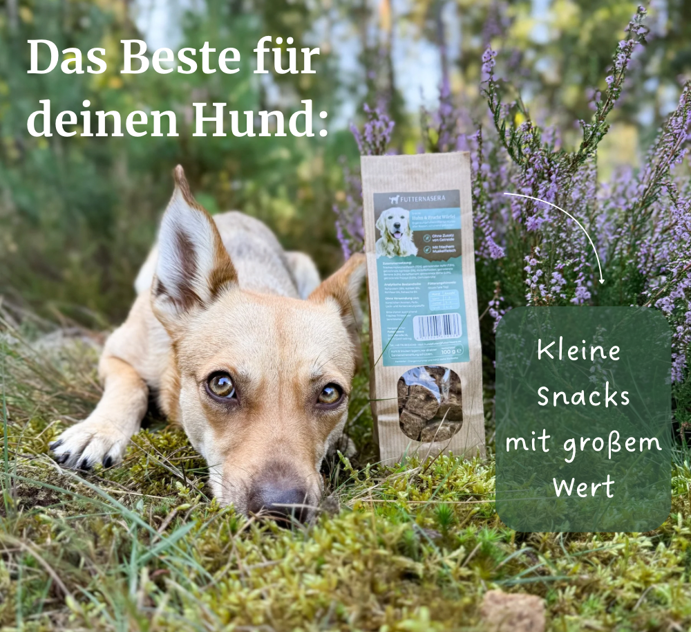 Snacks Huhn & Fruchtwürfel - 100g
