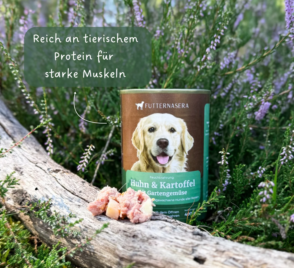 Nassfutter Huhn & Kartoffel - 400g