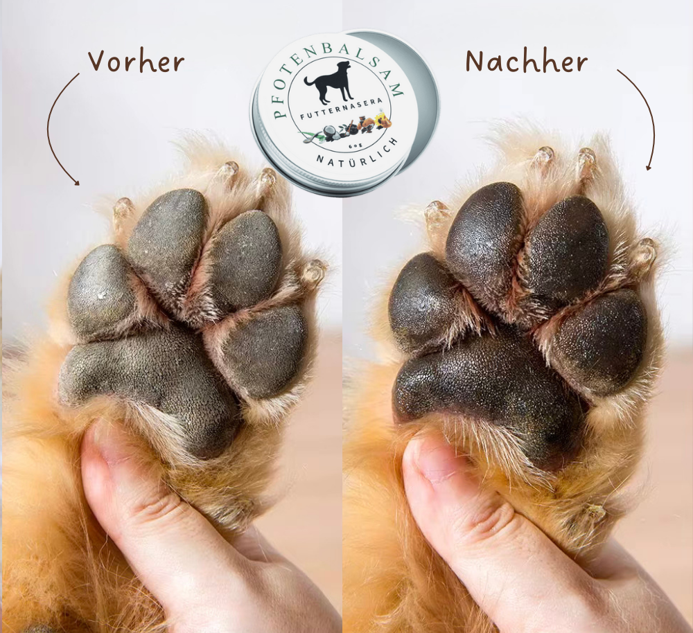 Pfotenbalsam für Hunde