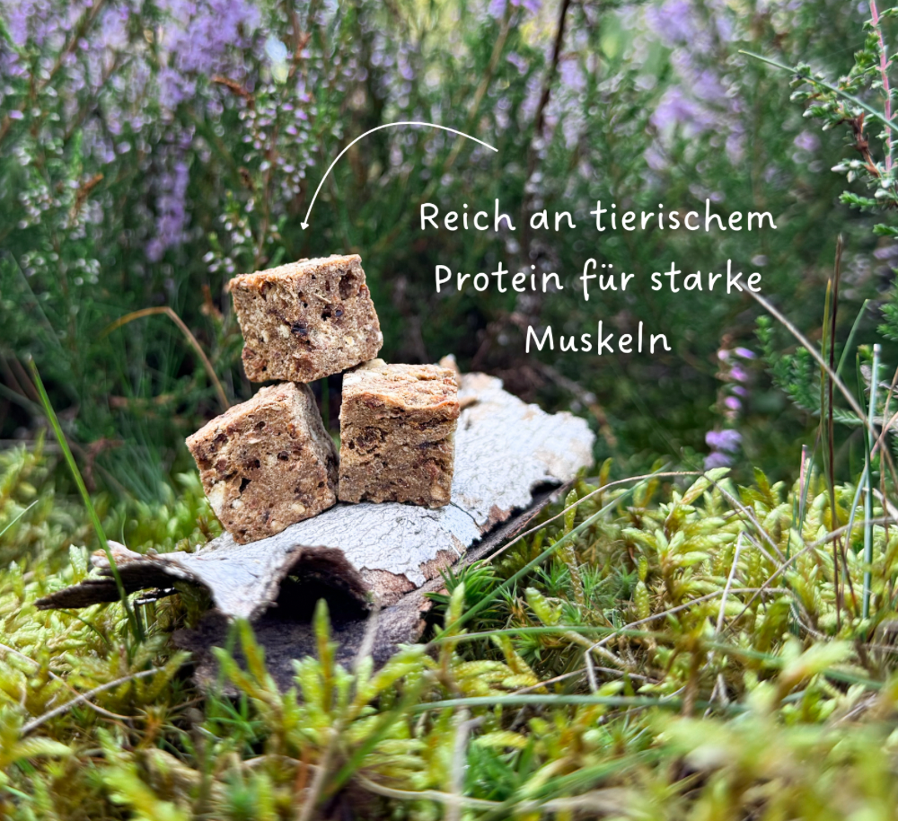 Snacks Huhn & Fruchtwürfel - 100g
