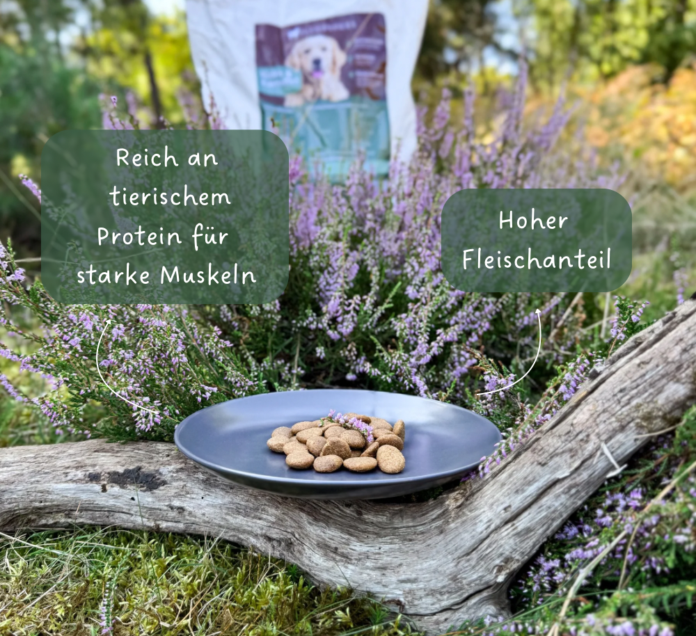 Trockenfutter Huhn & Kartoffel - 800g / 10kg