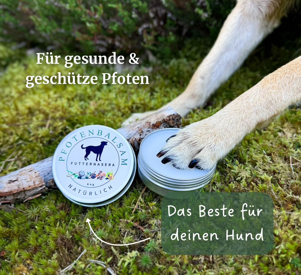Pfotenbalsam für Hunde