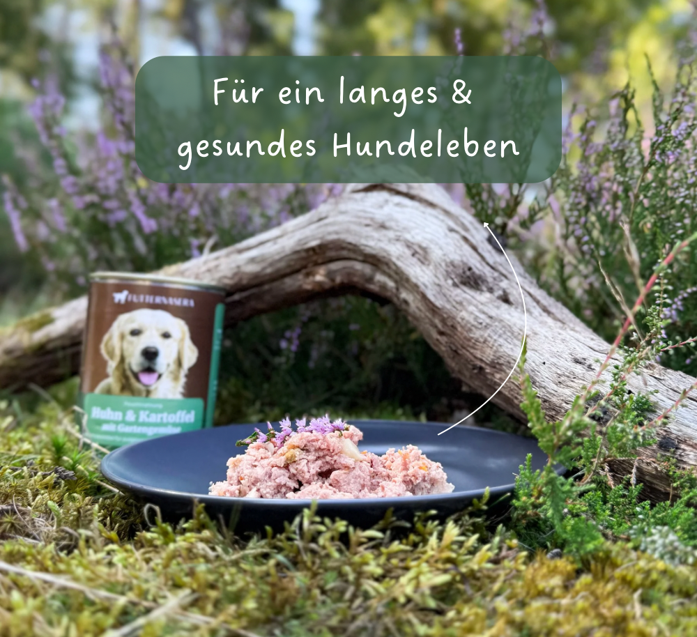 Nassfutter Huhn & Kartoffel - 400g