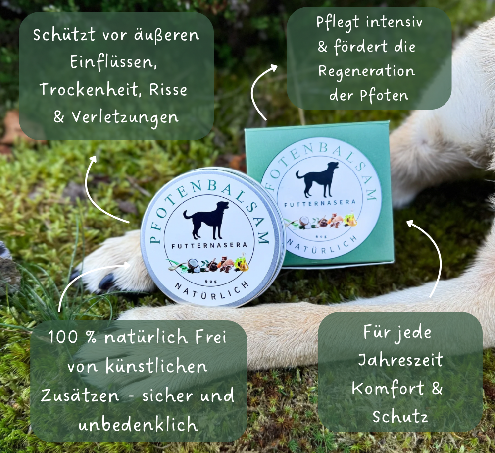 Pfotenbalsam für Hunde
