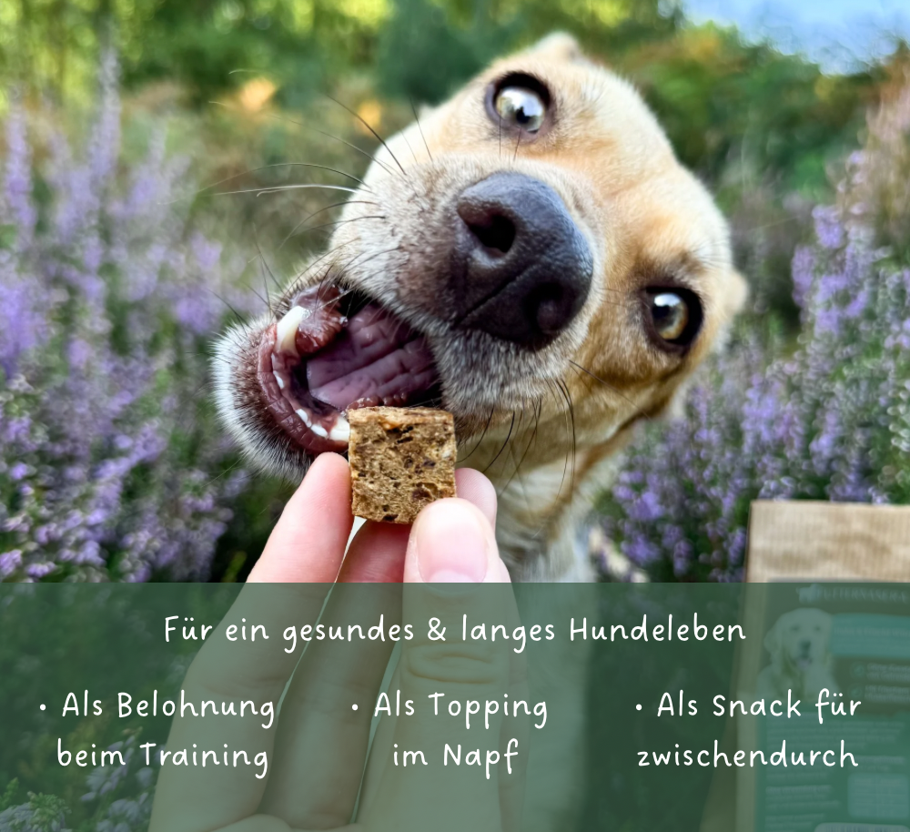 Snacks Huhn & Fruchtwürfel - 100g