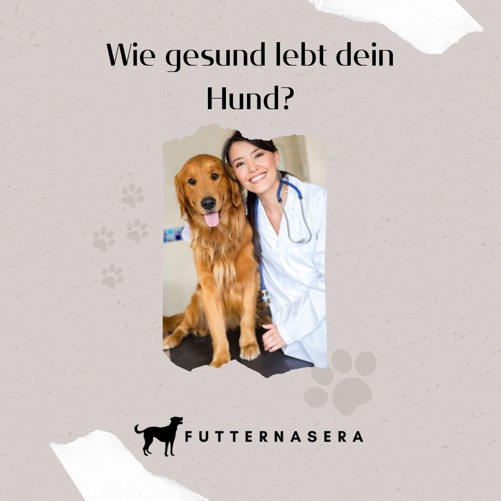 E-Book - Wie gesund lebt dein Hund?