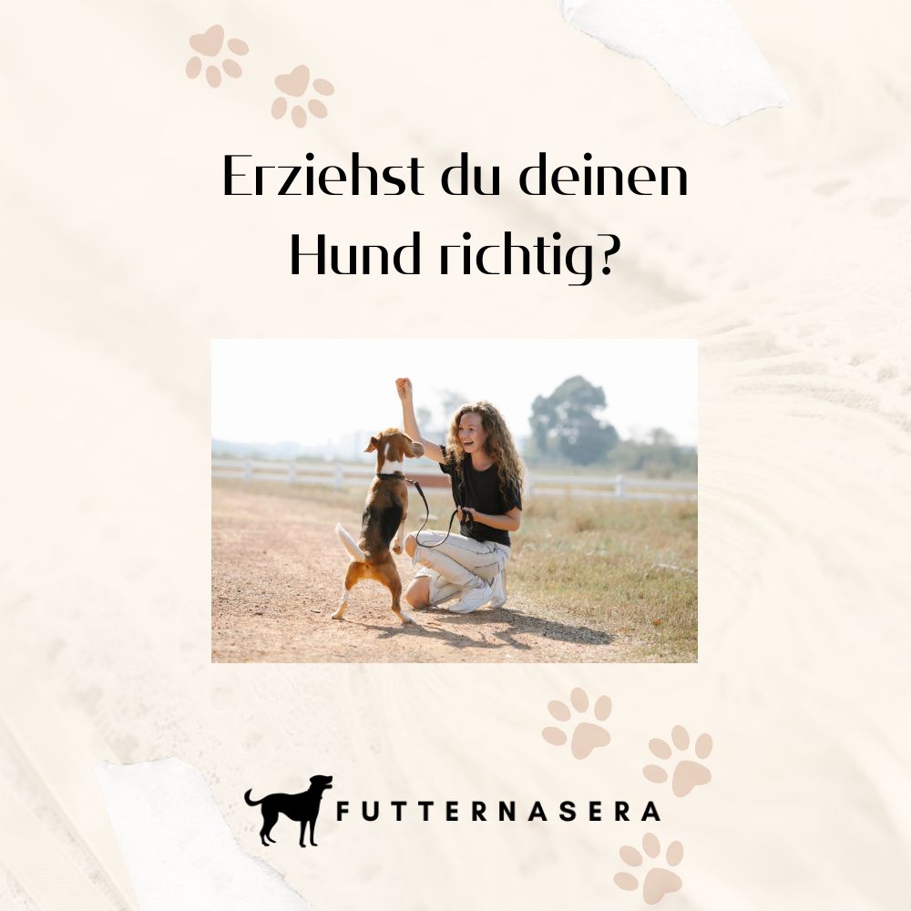 E-Book - Erziehst du deinen Hund richtig?