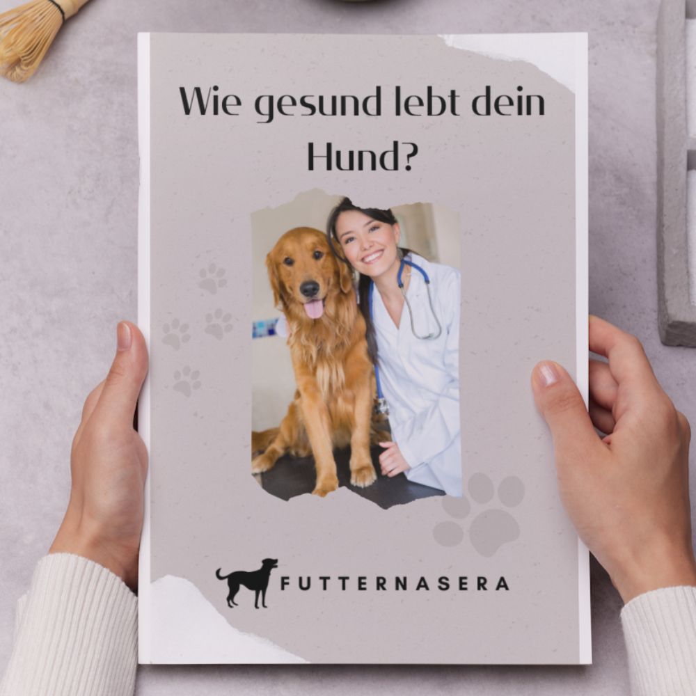 E-Book - Wie gesund lebt dein Hund?