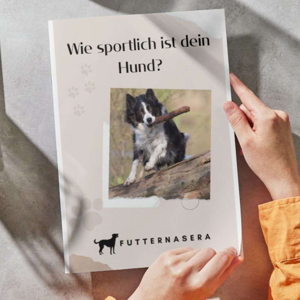 E-Book - Wie sportlich ist dein Hund?