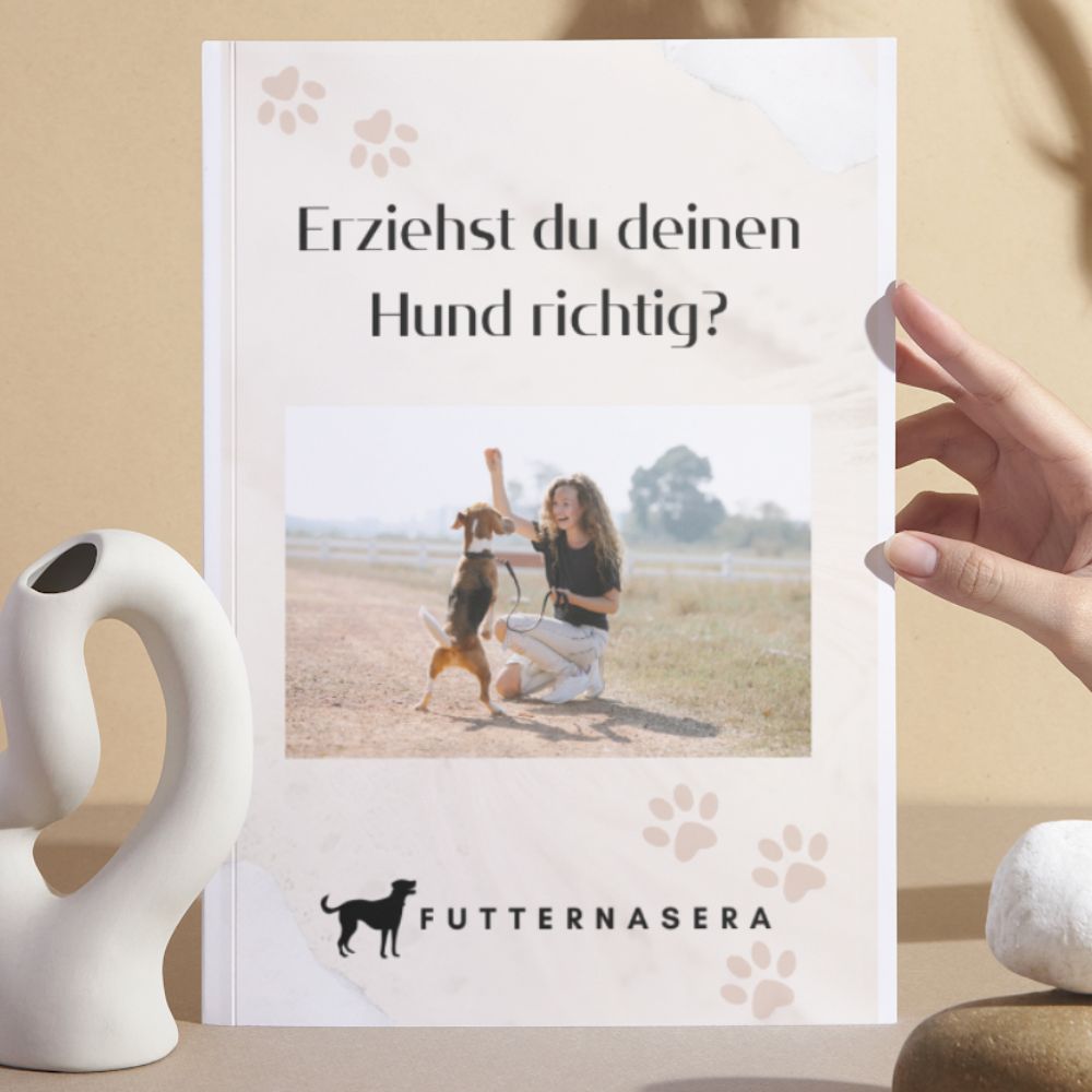 E-Book - Erziehst du deinen Hund richtig?