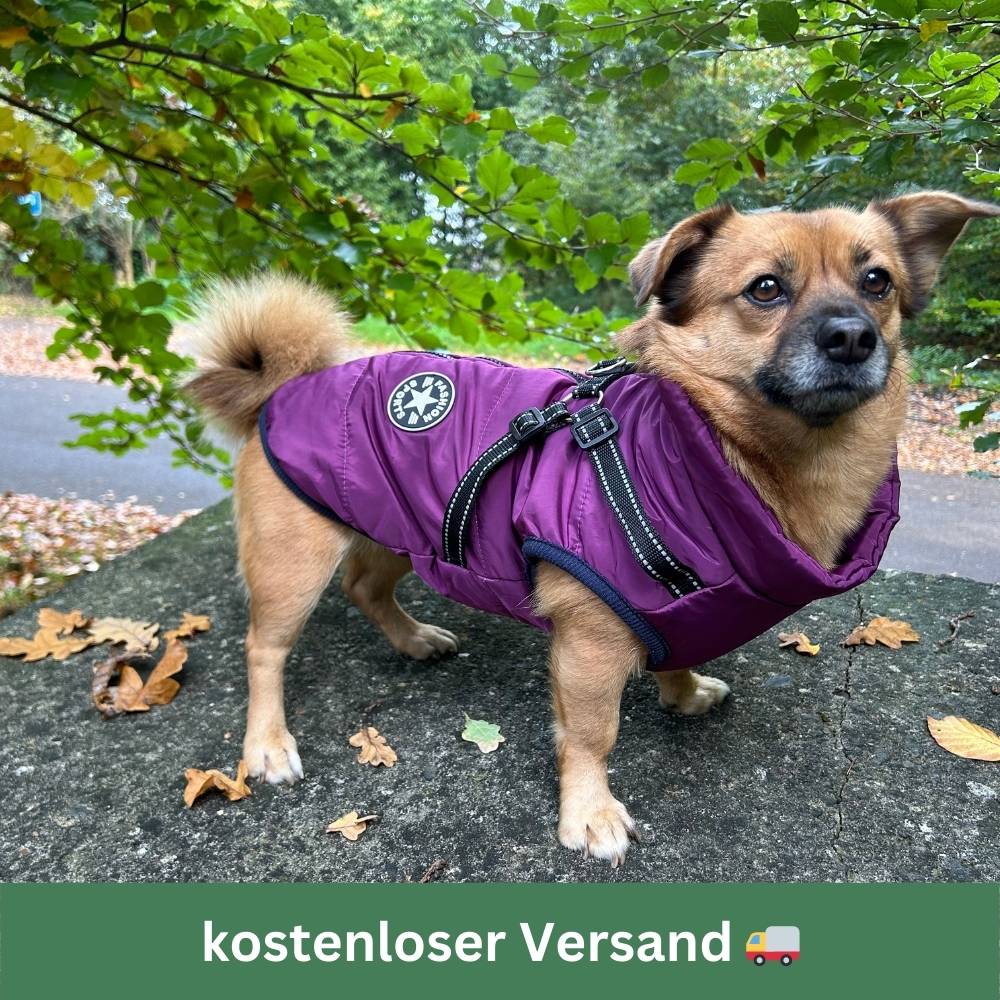 Wasserdichter Hundemantel