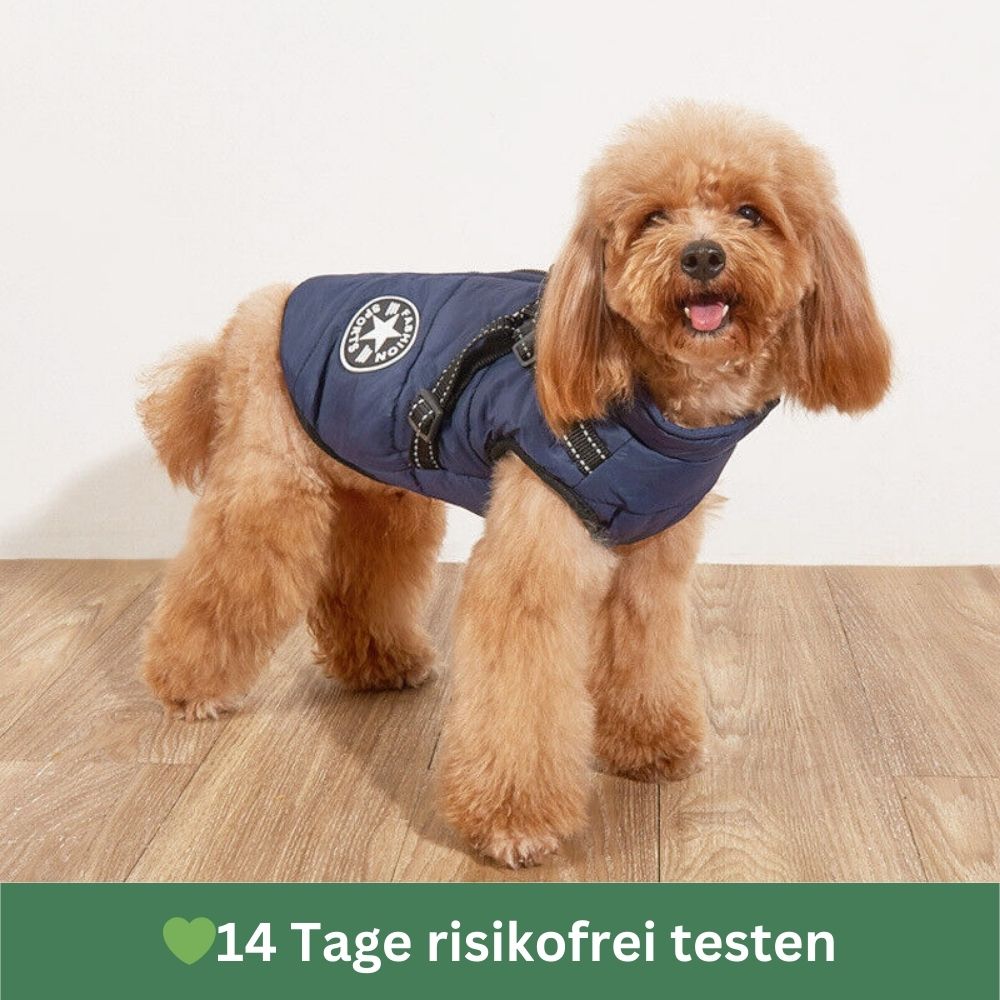 Wasserdichter Hundemantel