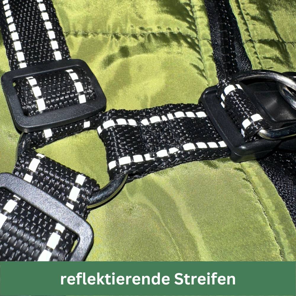 Wasserdichter Hundemantel