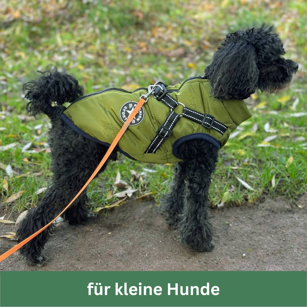 Wasserdichter Hundemantel