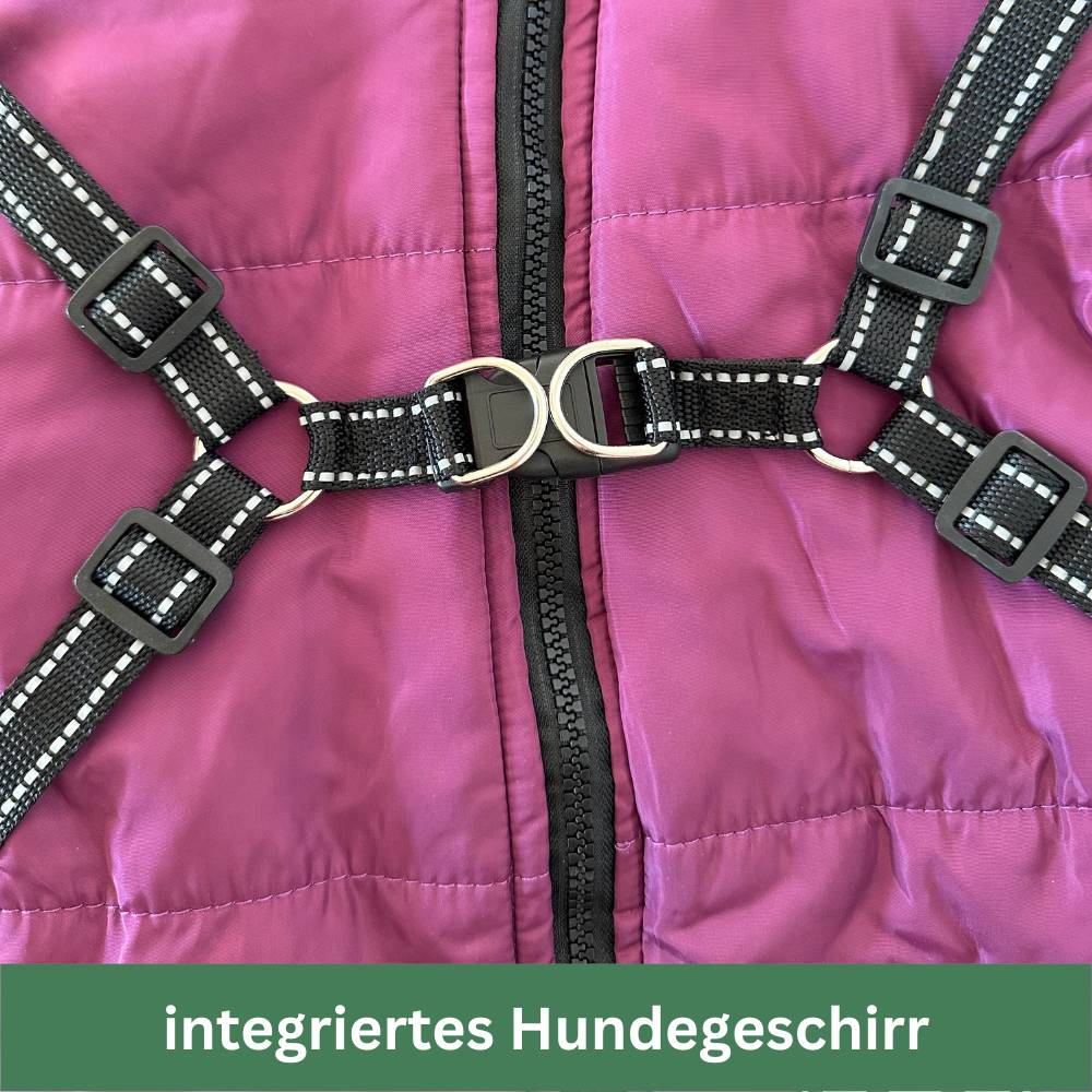 Wasserdichter Hundemantel