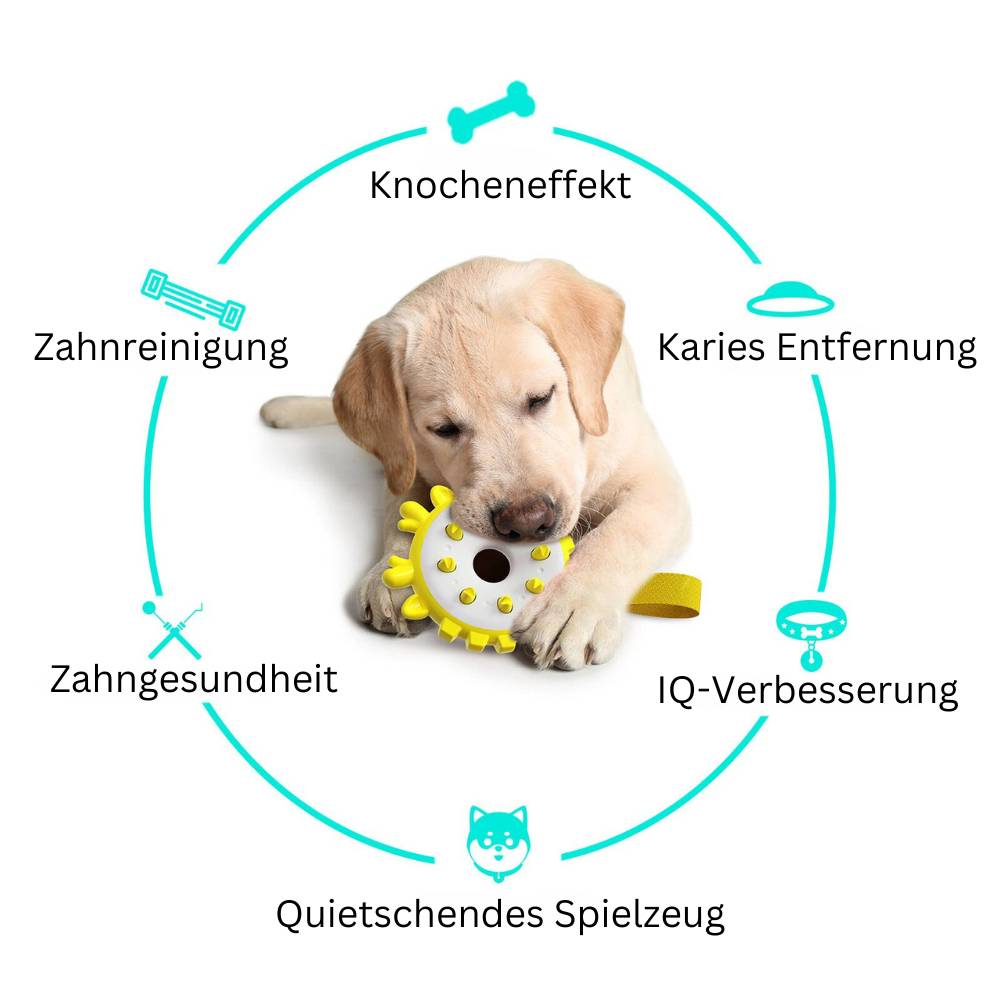 Wurfring - Hundespielzeug