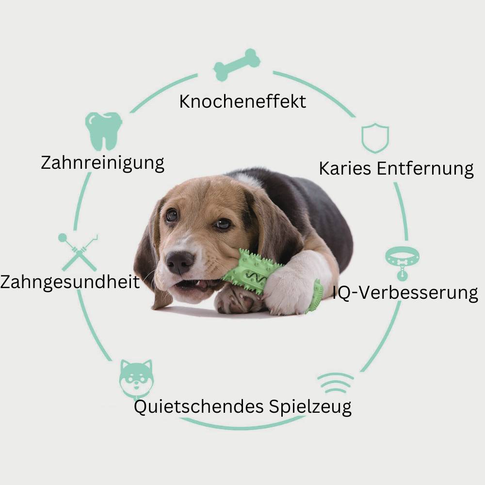 Zahnreinigungsknochen - Hundespielzeug