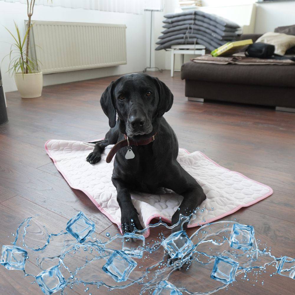 Kühlmatte für Hunde