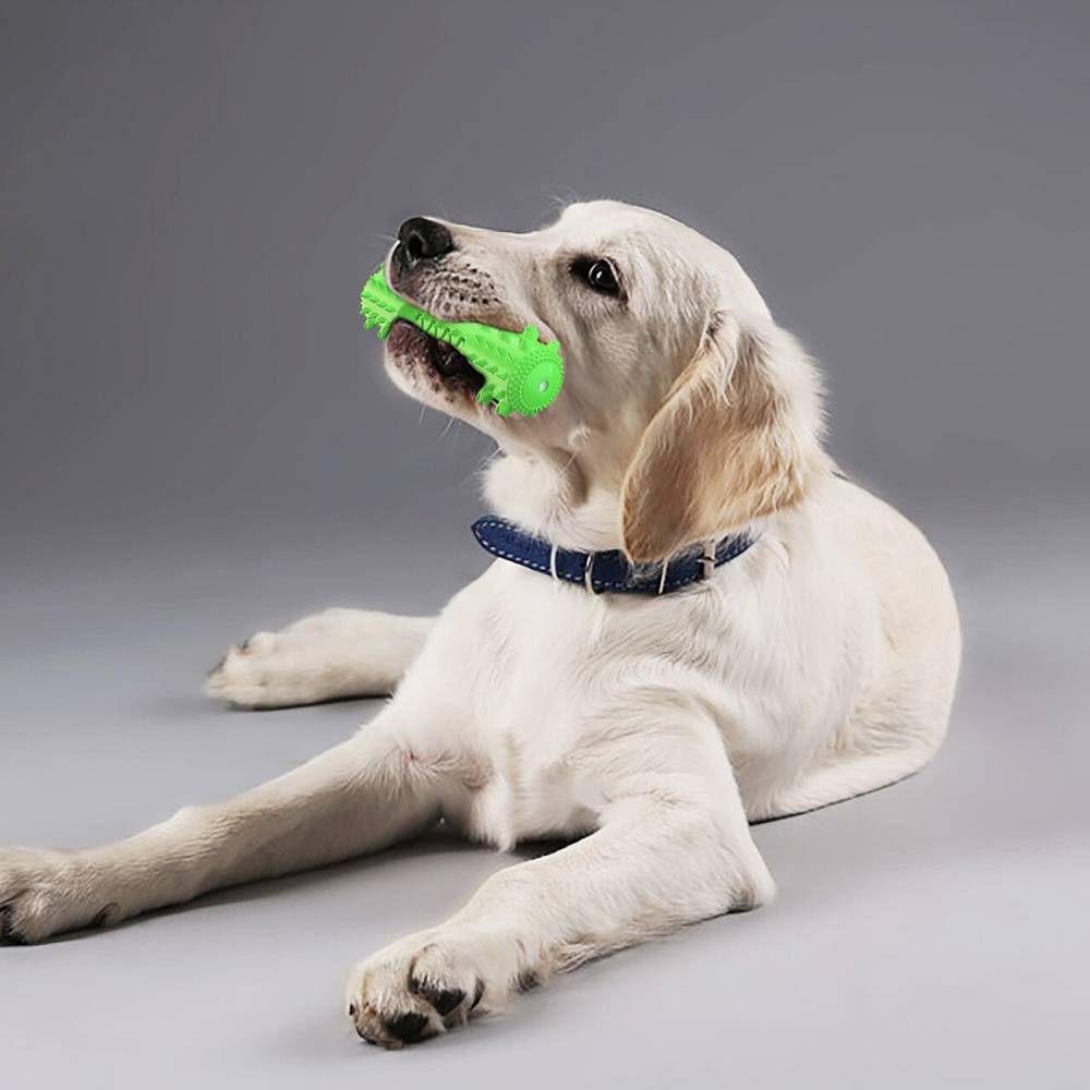 Zahnreinigungsknochen - Hundespielzeug