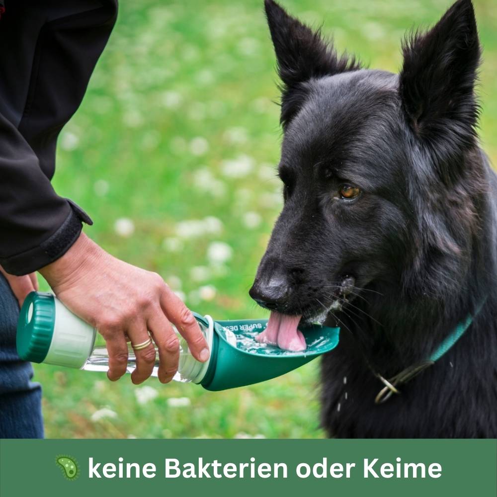 Trinkflasche für Hunde