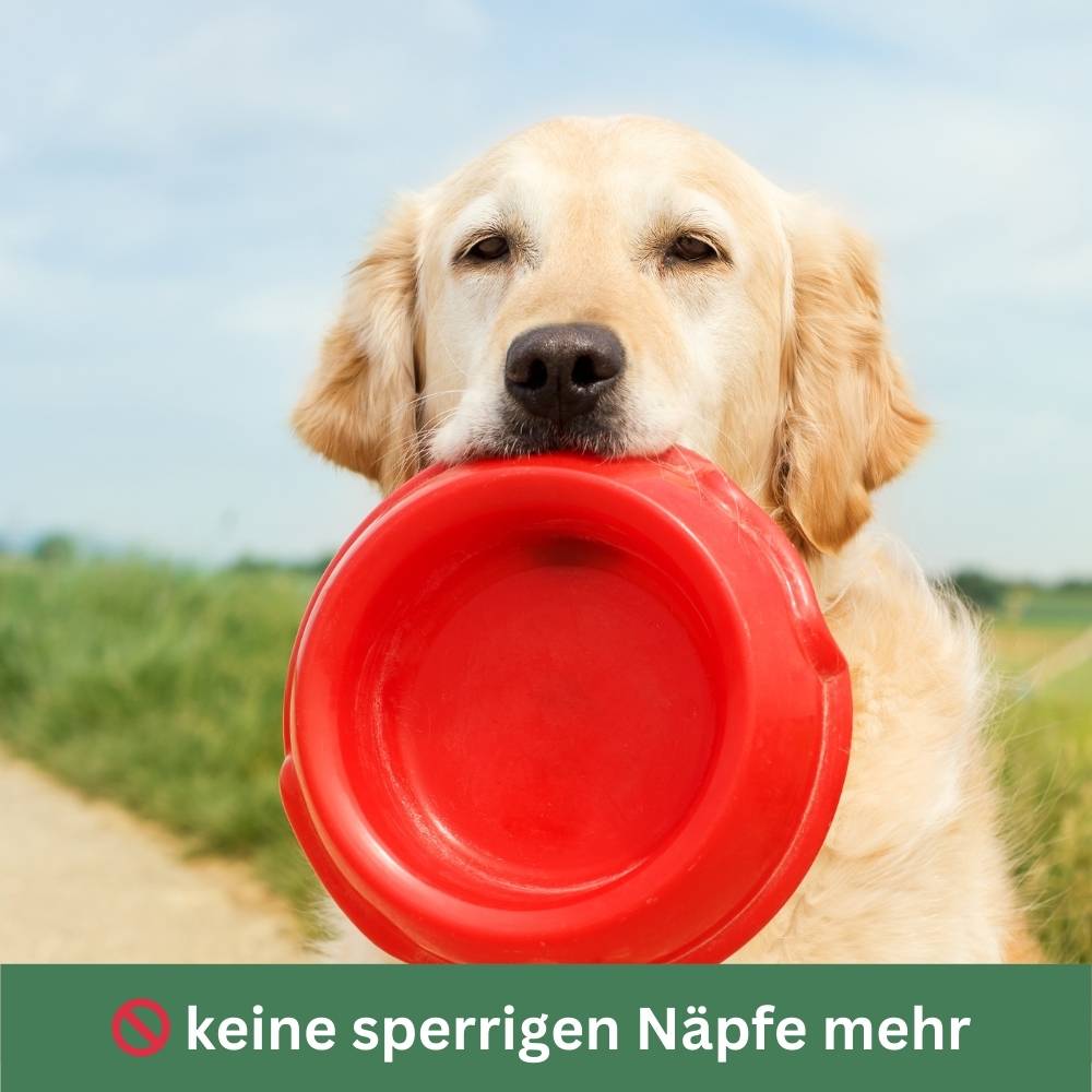 Trinkflasche für Hunde