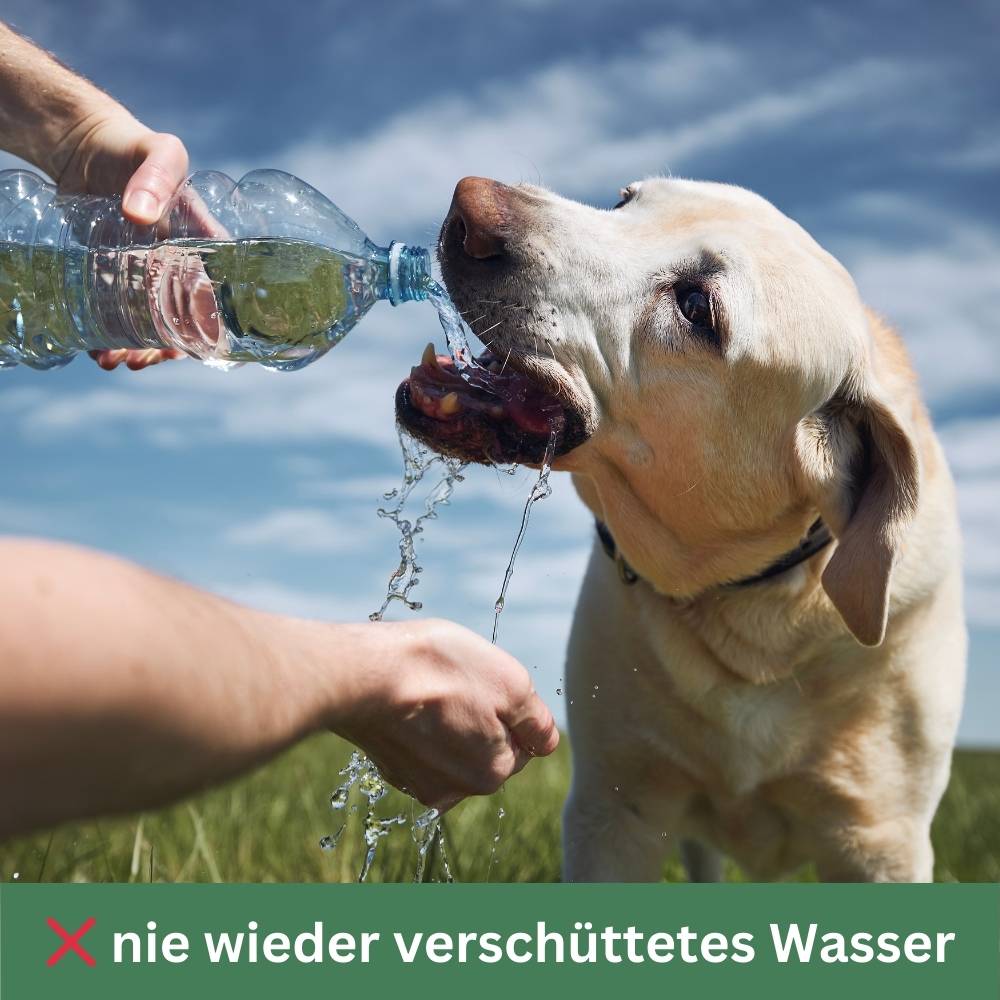 Trinkflasche für Hunde