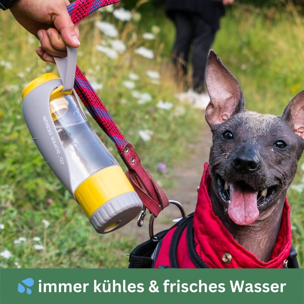 Trinkflasche für Hunde