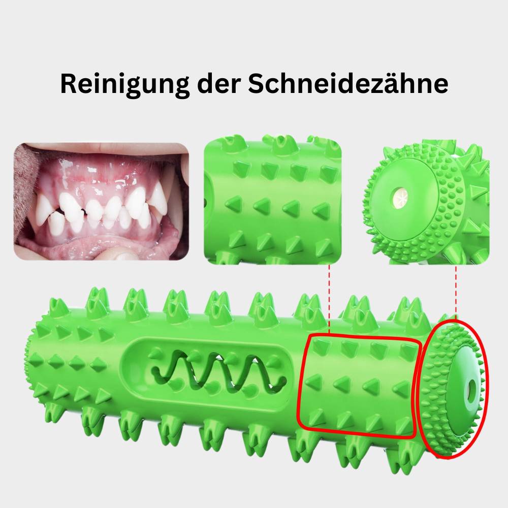 Zahnreinigungsknochen - Hundespielzeug