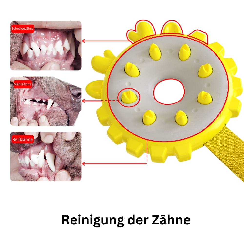 Wurfring - Hundespielzeug