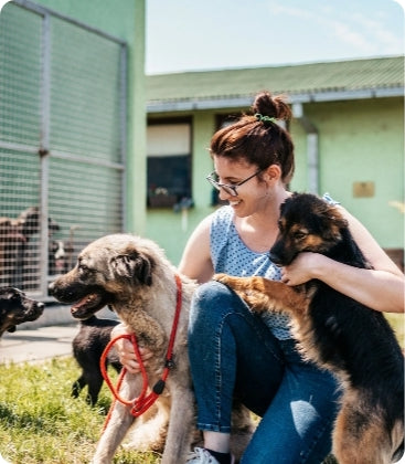 Hundepensionen